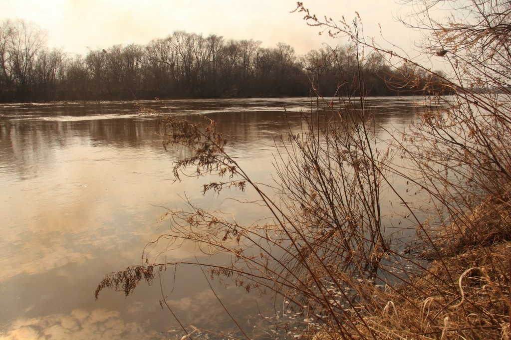 La rivière Bikin