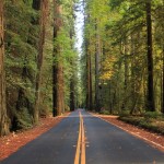 California State, en Route pour San Francisco