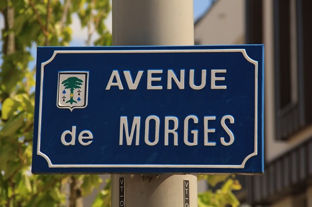 ... et je me rappelle que c'est la ville qui est jumelé avec Morges. Et que j'ai même commencé et que je finirai mon voyage au Parc du Vertou!