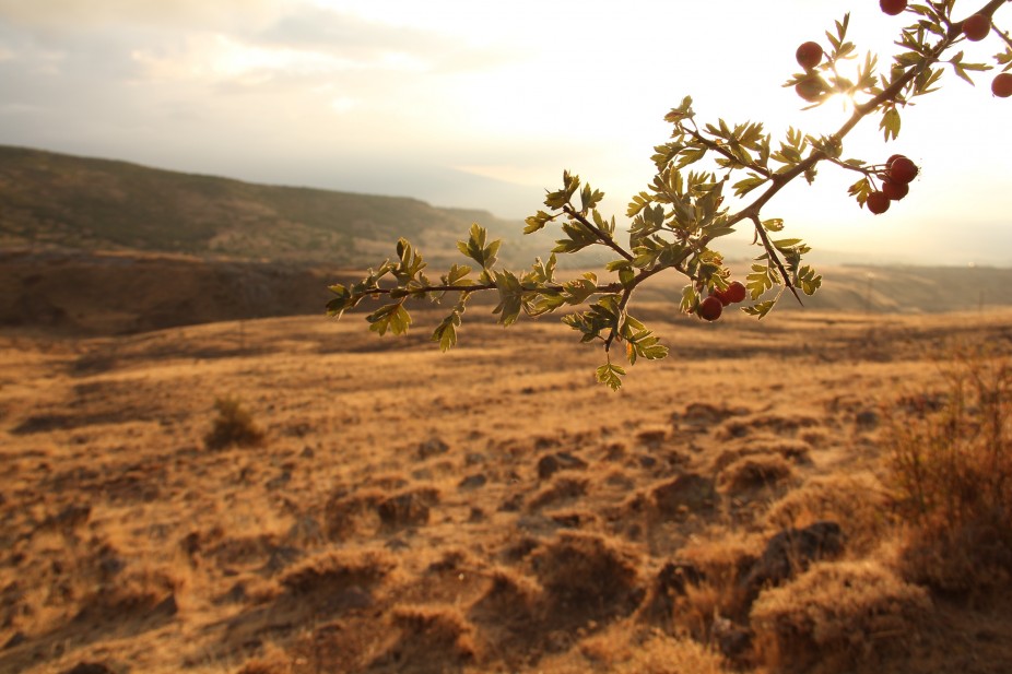 A travers la Cappadoce