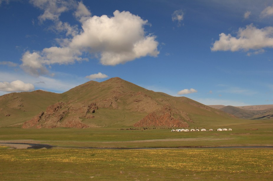 Mongolie: La Steppe