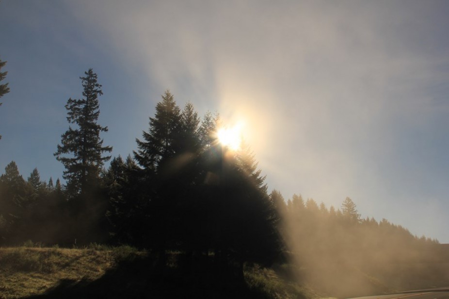 Californie Instantané : pèlerinage dominical ou quand vélo rime avec religion