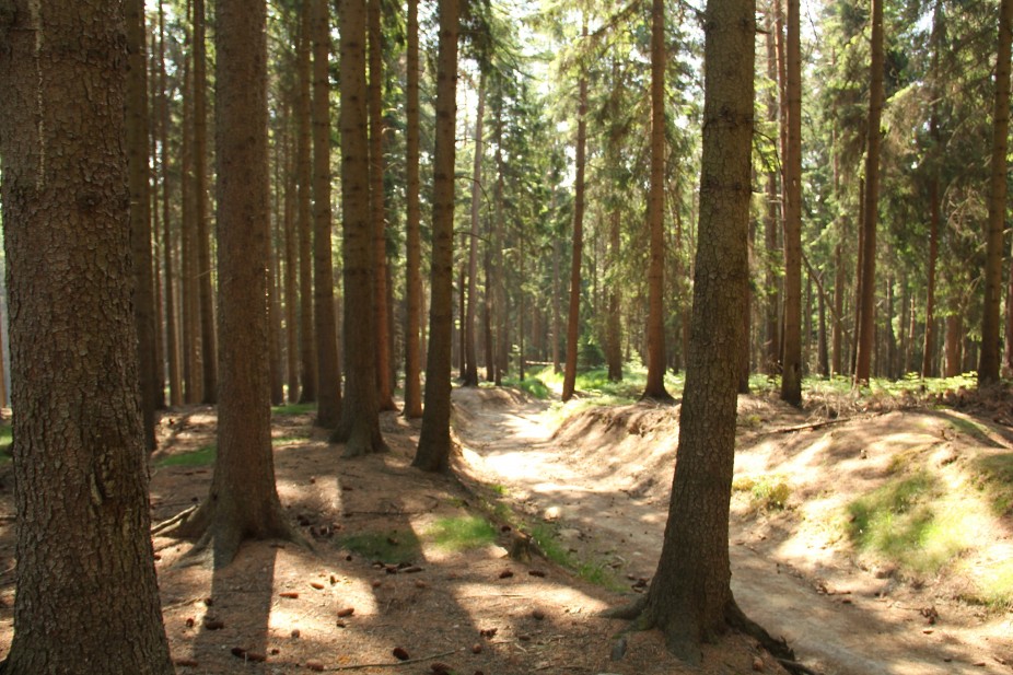 En direct live d’un parc national tchèque